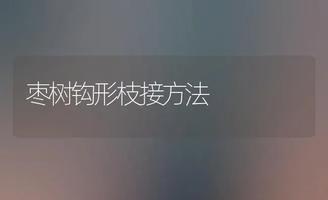 枣树钩形枝接方法 | 瓜果种植