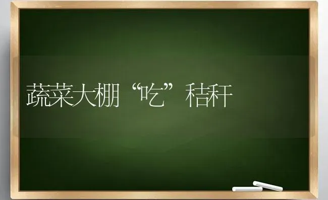 蔬菜大棚“吃”秸秆 | 蔬菜种植