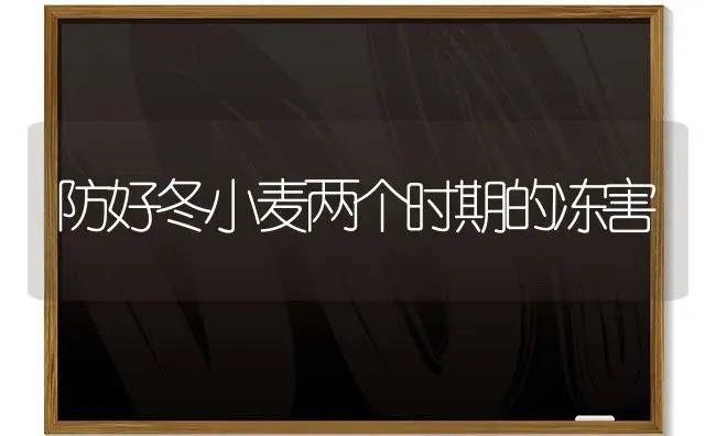 蘑菇保鲜五要点 | 食用菌种植