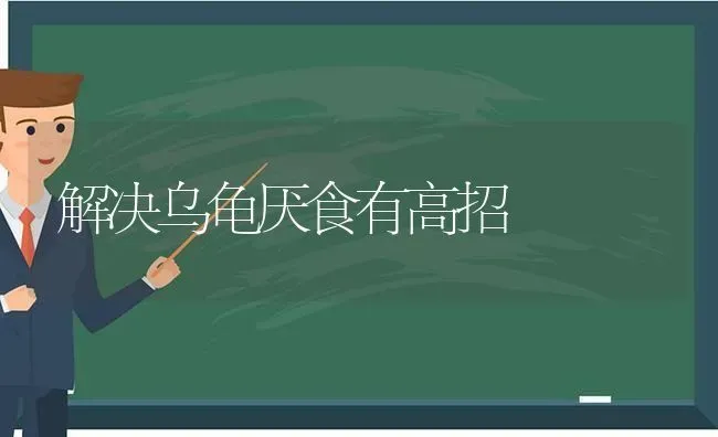 芹菜栽培四要点 | 蔬菜种植