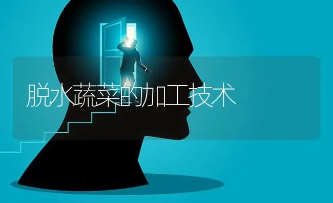 脱水蔬菜的加工技术 | 蔬菜种植