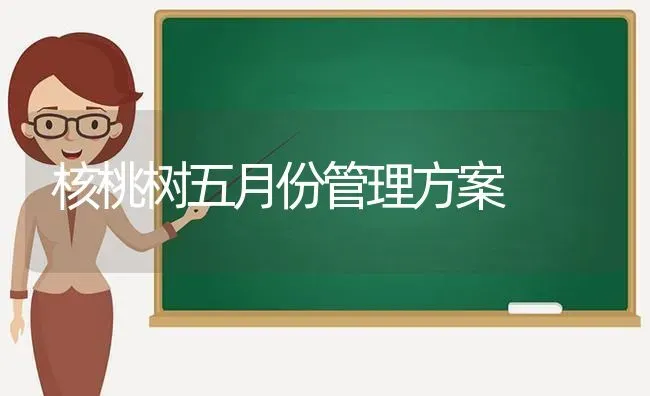 核桃树五月份管理方案 | 瓜果种植