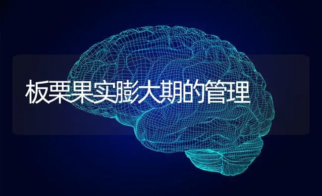 板栗果实膨大期的管理 | 瓜果种植