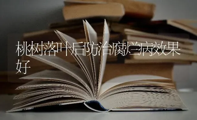 桃树落叶后防治腐烂病效果好 | 瓜果种植