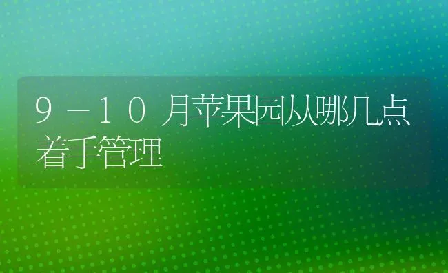 9-10月苹果园从哪几点着手管理 | 瓜果种植