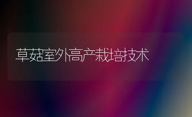 草菇室外高产栽培技术 | 食用菌种植