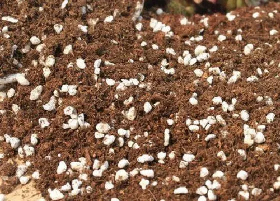 种植土壤|自制营养土的配制方法（超简单的种花营养土制作方法）