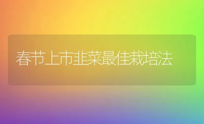 春节上市韭菜最佳栽培法 | 蔬菜种植