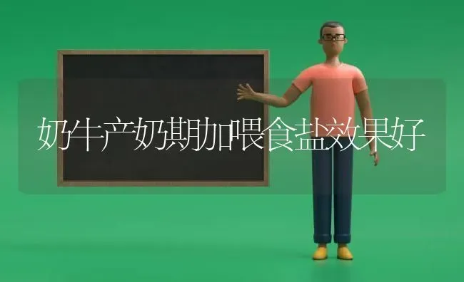奶牛产奶期加喂食盐效果好 | 瓜果种植