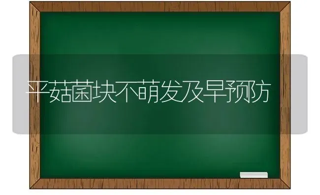 平菇菌块不萌发及早预防 | 食用菌种植