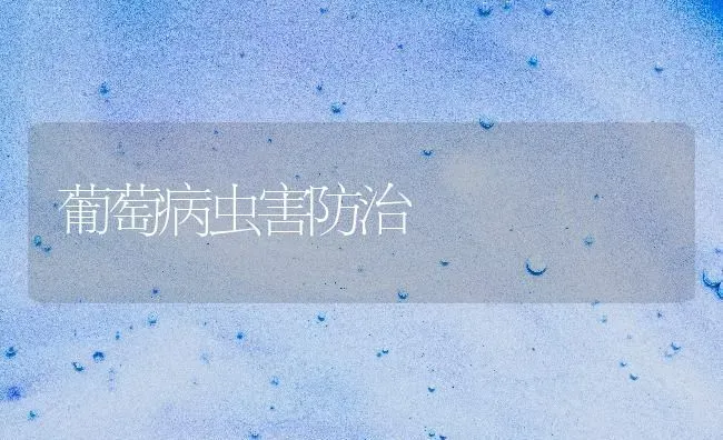 葡萄病虫害防治 | 种植病虫害防治