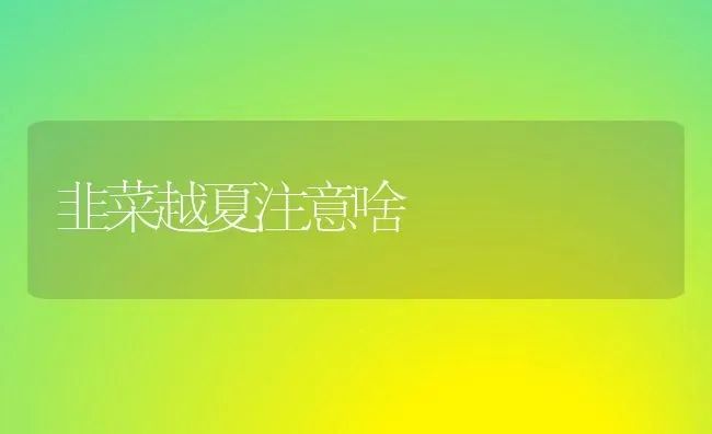 韭菜越夏注意啥 | 蔬菜种植