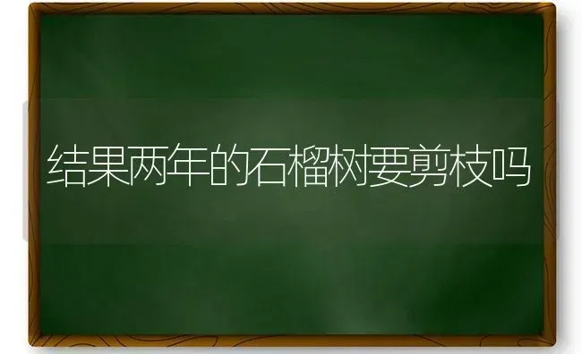 结果两年的石榴树要剪枝吗 | 瓜果种植