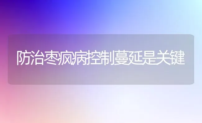 谨慎用农药蔬菜无公害 | 蔬菜种植