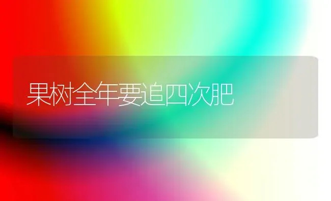 果树全年要追四次肥 | 瓜果种植