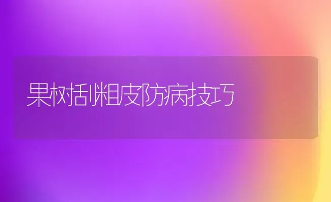 果树刮粗皮防病技巧 | 瓜果种植