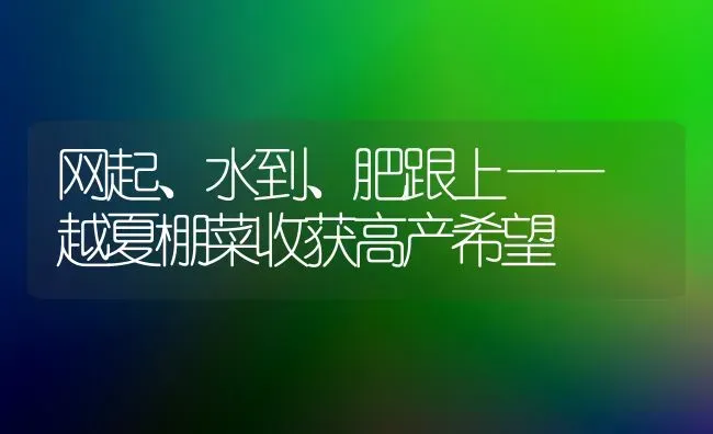 网起、水到、肥跟上—— 越夏棚菜收获高产希望 | 蔬菜种植