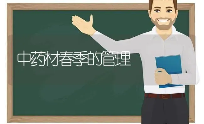 中药材春季的管理 | 药材种植