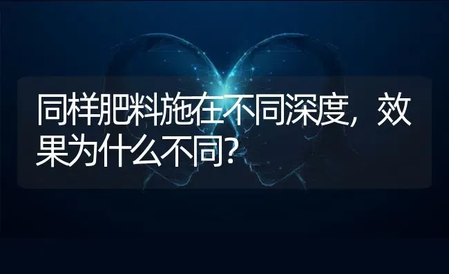 同样肥料施在不同深度，效果为什么不同？ | 瓜果种植