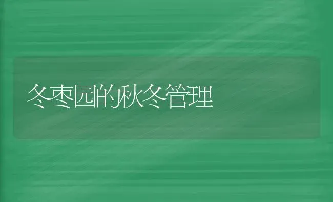 冬枣园的秋冬管理 | 瓜果种植