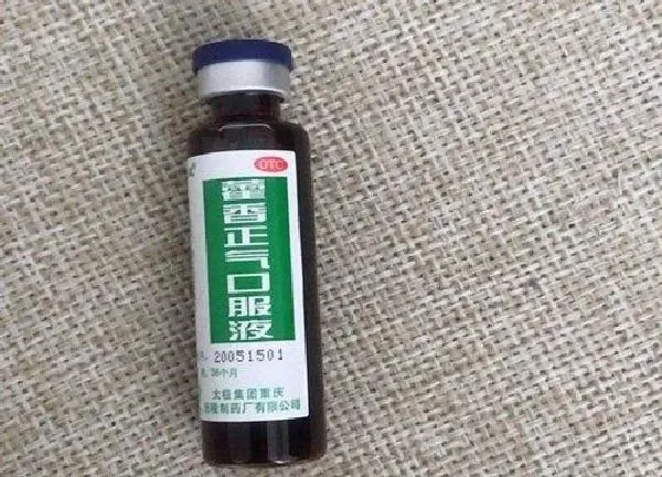 植物浇水|藿香正气水浇花好不好 过期藿香正气水妙用来养花