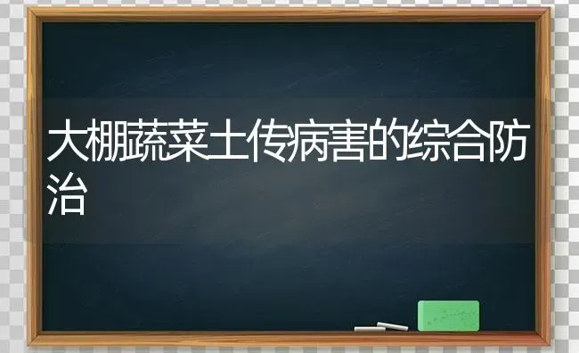 大棚蔬菜土传病害的综合防治 | 蔬菜种植