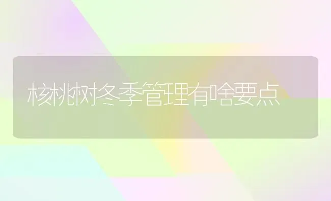 核桃树冬季管理有啥要点 | 瓜果种植