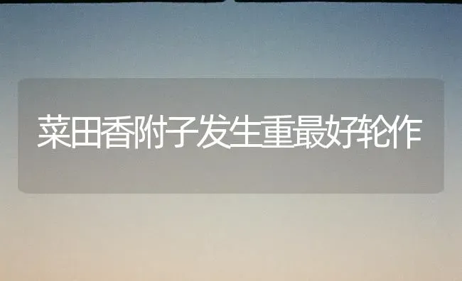 菜田香附子发生重最好轮作 | 蔬菜种植