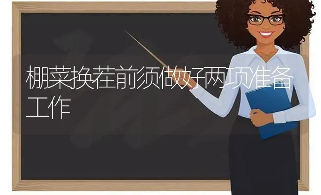 棚菜换茬前须做好两项准备工作 | 蔬菜种植