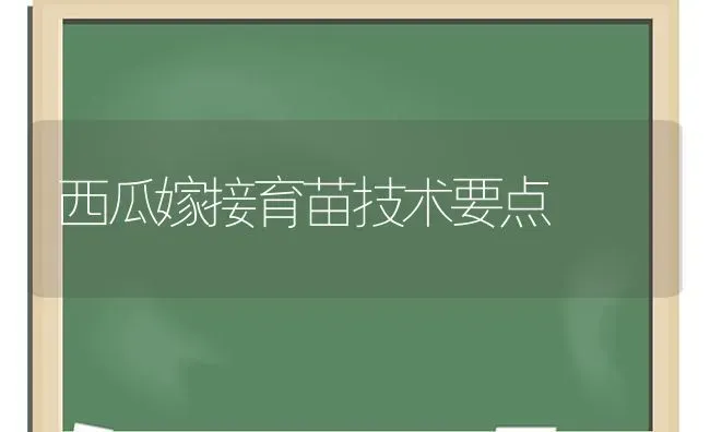 西瓜嫁接育苗技术要点 | 瓜果种植