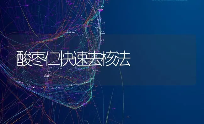 酸枣仁快速去核法 | 瓜果种植