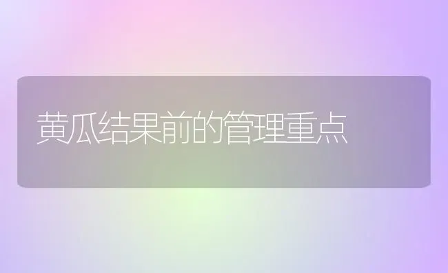 黄瓜结果前的管理重点 | 瓜果种植