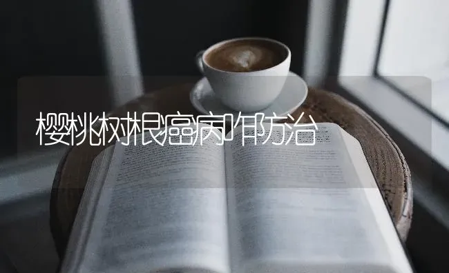 樱桃树根癌病咋防治 | 瓜果种植