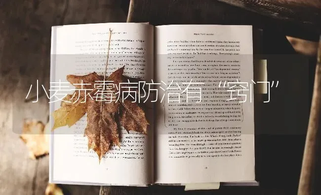 小麦赤霉病防治有“窍门” | 粮油作物种植