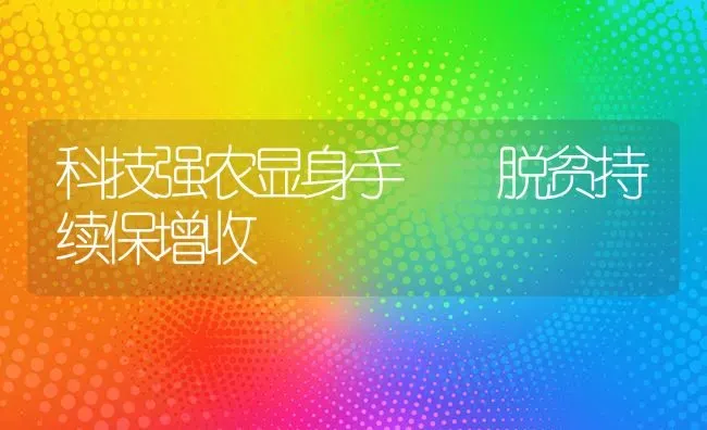 科技强农显身手  脱贫持续保增收 | 瓜果种植