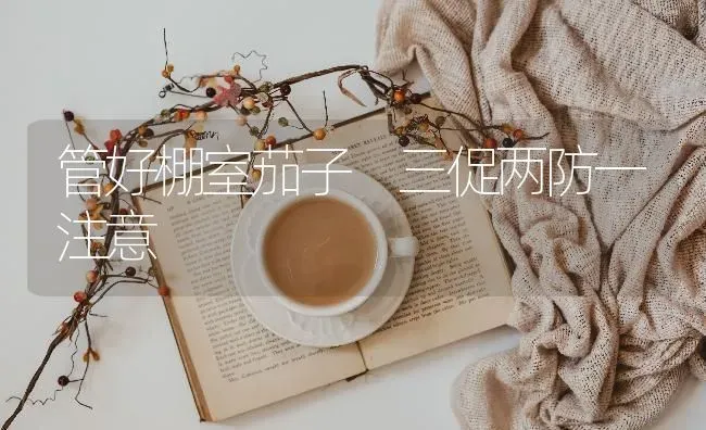 管好棚室茄子 三促两防一注意 | 蔬菜种植