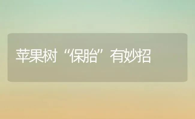 苹果树“保胎”有妙招 | 瓜果种植