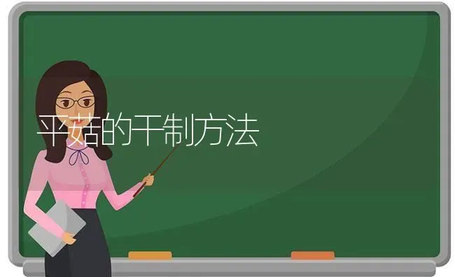 平菇的干制方法 | 食用菌种植