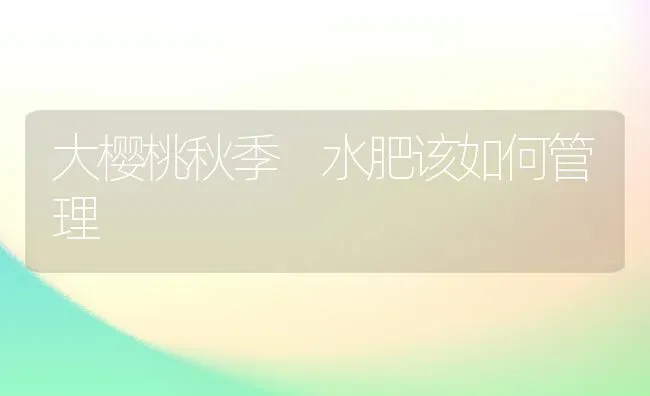 大樱桃秋季 水肥该如何管理 | 瓜果种植