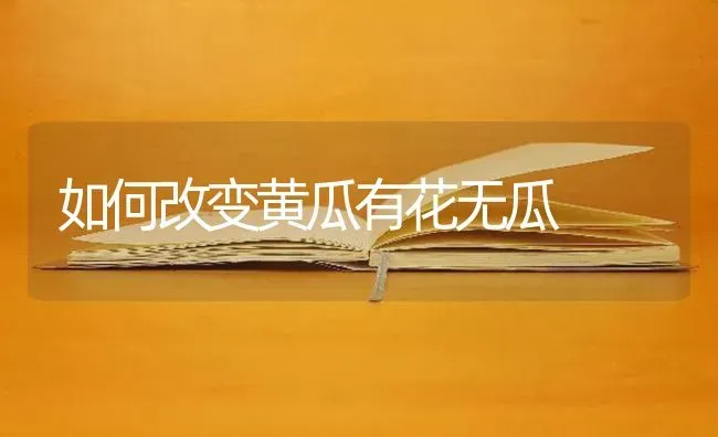 如何改变黄瓜有花无瓜 | 蔬菜种植