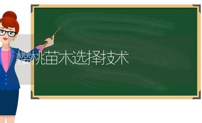 樱桃苗木选择技术 | 瓜果种植