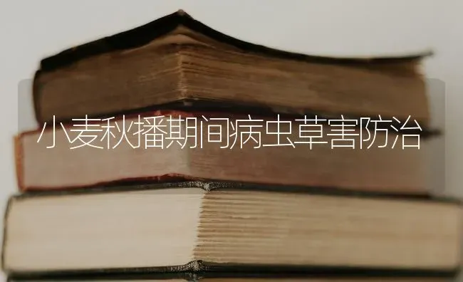 小麦秋播期间病虫草害防治 | 粮油作物种植