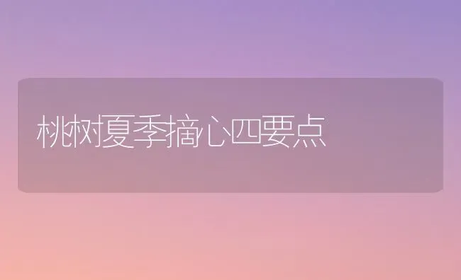 桃树夏季摘心四要点 | 瓜果种植