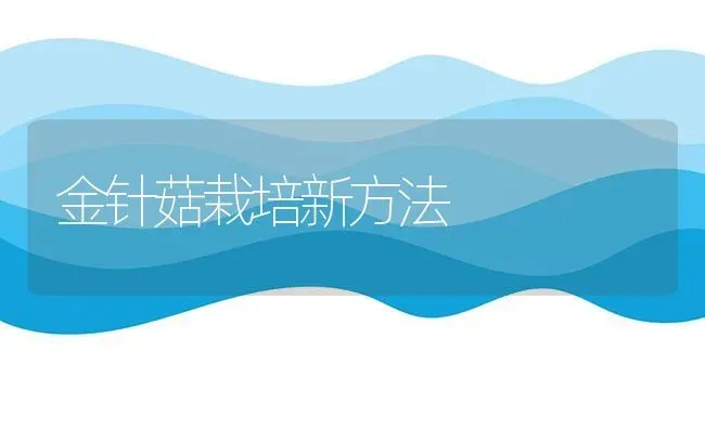 金针菇栽培新方法 | 食用菌种植