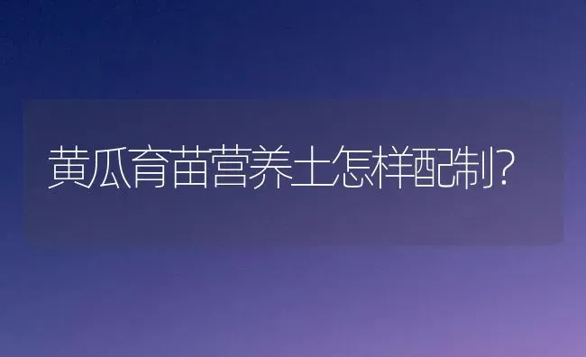 黄瓜育苗营养土怎样配制？ | 蔬菜种植