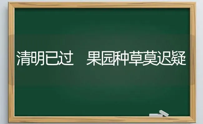 清明已过 果园种草莫迟疑 | 瓜果种植