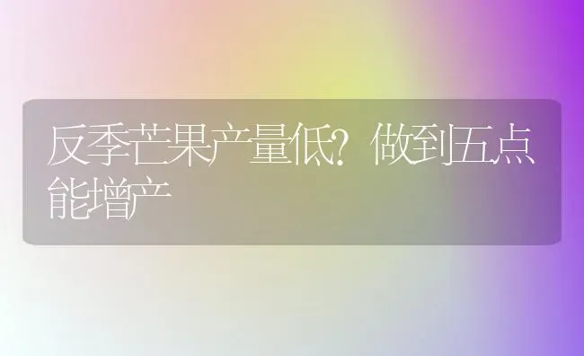 反季芒果产量低？做到五点能增产 | 瓜果种植