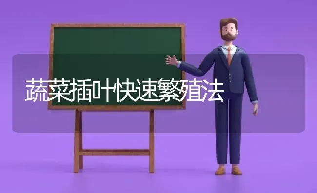 蔬菜插叶快速繁殖法 | 蔬菜种植