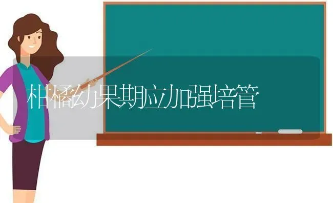 柑橘幼果期应加强培管 | 瓜果种植