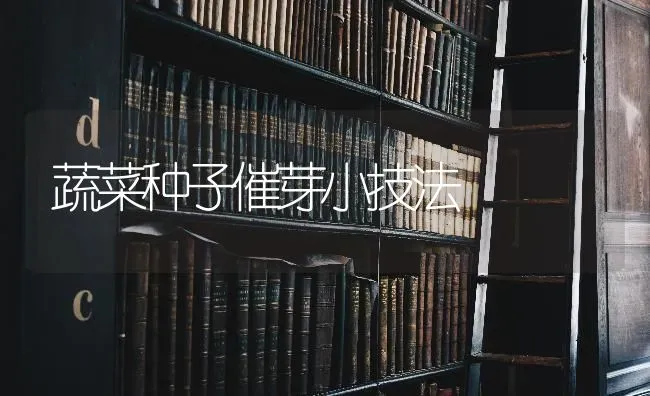 蔬菜种子催芽小技法 | 蔬菜种植
